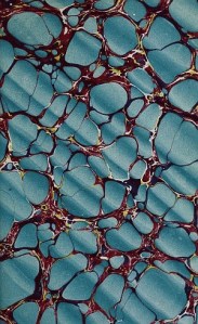 bookbinding_endpaper